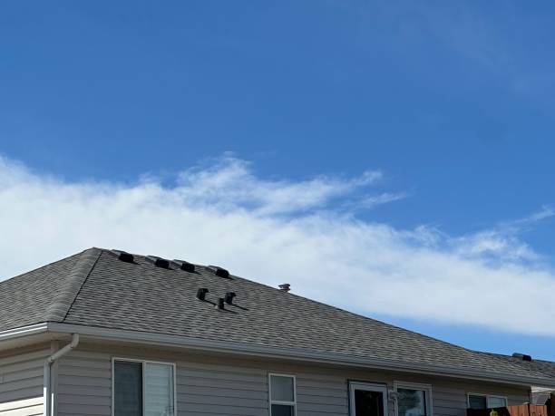 Best Storm Damage Roof Repair  in Cortland, OH